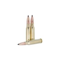 308 Win